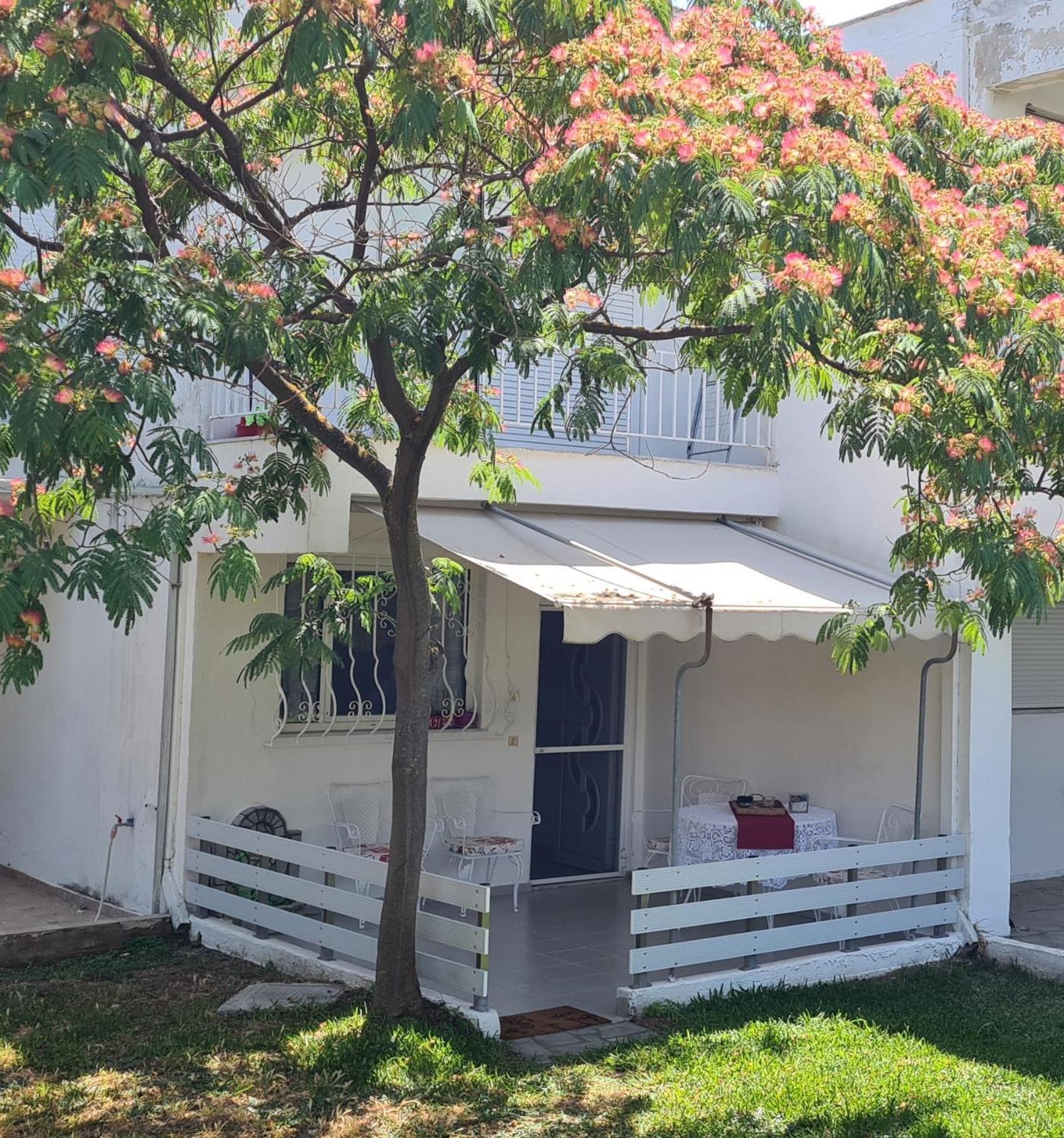 Σπίτι διακοπών Family House In Gerakini Kalyves Polygyrou